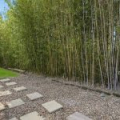 38 Macleay Circuit, Upper Coomera, QLD 4209 Australia