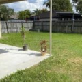 49 Serafina Dr, Helensvale, Qld 4212